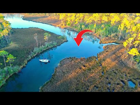 Fishing a SHALLOW CREEK in my *24ft* BOAT  and Caught THIS! [Epic Results]