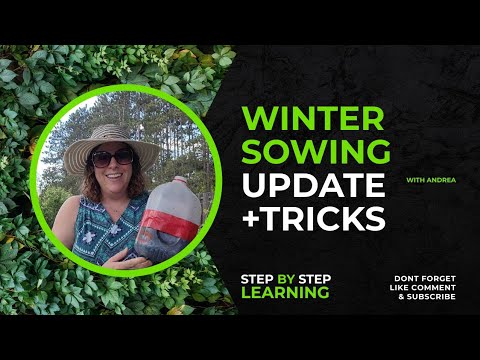 Winter Sowing Update and Tricks