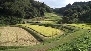 日本梯田百選：石畑棚田｜栃木縣。蕎麥之鄉茂木町