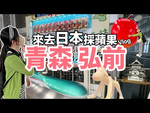 青森 | 日本東北 | 弘前、蘋果公園 | 2023東京自由行 8天7夜 Vlog EP.2 手把手帶你採蘋果