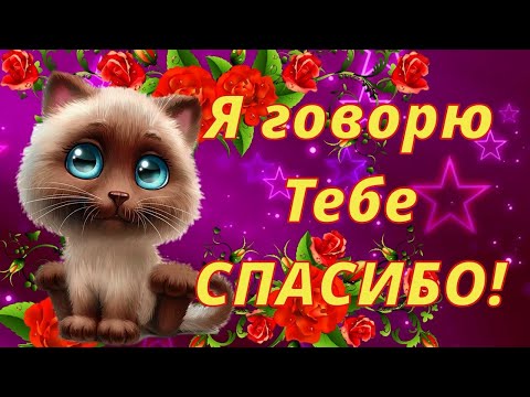 Спасибо Вам, мои Друзья, за то, что есть Вы у Меня! Красивая Музыкальная Открытка С Днем Спасибо!