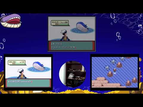 Live! - Feebas & Wailord Hunting!