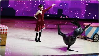 Sea Lion Show 海狮表演 (Full Show) - Shanghai Haichang Ocean Park - December 9, 2023