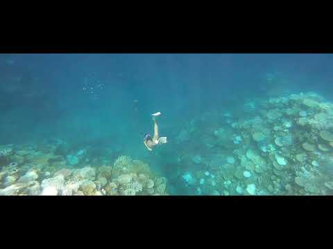 A mermaid dancing in the Coral Heaven - Ishigakijima, Okinawa