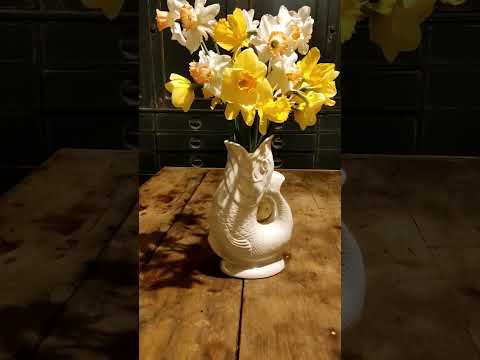 Homegrown allotment daffs #homegrown #cutflowers #diyhome #diyhomedecor #flowers  #buildingahome