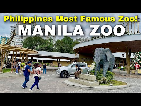 What’s New at MANILA ZOO? A Complete Tour of the Philippines’ Most Famous Zoo!