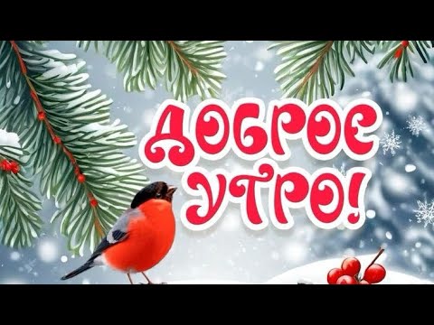 Доброе утро💖 Замечательных Вам выходных ❄️🌲❄️🌲