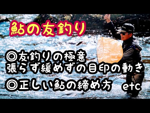 鮎釣り  泳がせ釣りで大逆転【九頭竜勝山】