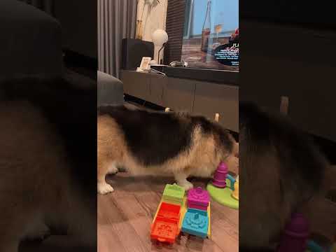 Play with puzzle toy