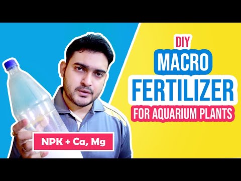 DIY Aquarium Fertilizer: Boost Your Plants with Liquid Macronutrients!