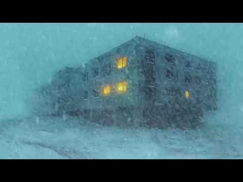 Winter Snowstorm Wind Sounds To Soothe Your Mind | Blizzard White Noise For Restful Sleep, Relax