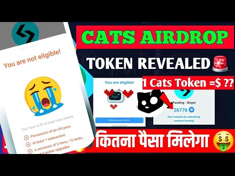 Final Steps; Cats Airdrop Snapshot 💰 |  Cats Airdrop | Cats Airdrop Withdrawal | Cats token price