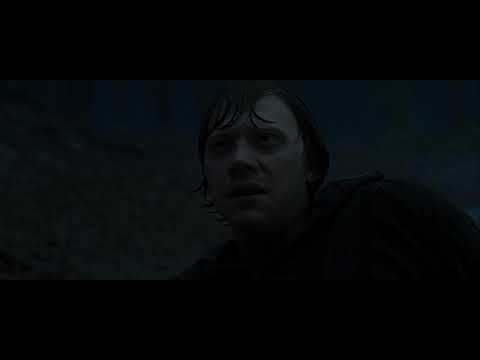 Harry Potter and the Deathly Hallows/Best scene/Daniel Radcliffe/Rupert Grint/Emma Watson