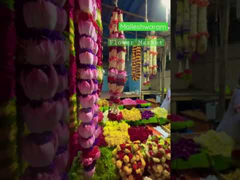 Bengaluru Malleshwaram Flower Market | #shorts | Kavya Nagaraj | Kannada Vlogs