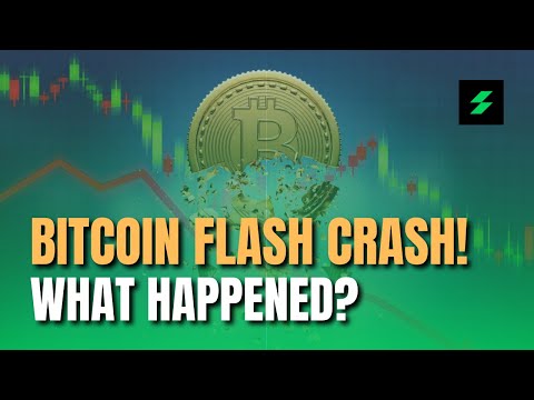 BITCOIN Flash Crash - WHAT HAPPENED?