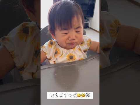 ［初めてのお誕生日］娘が1歳になりました👶🎊