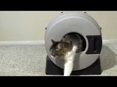 Quick Clean Cat Litter Box Review