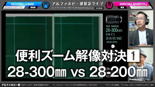 便利ズーム解像対決TAMRON  28-300mm VS 28-200mm