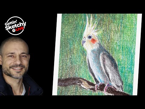 Live Drawing Exercise - Drawing a Bird with Colored Pencils