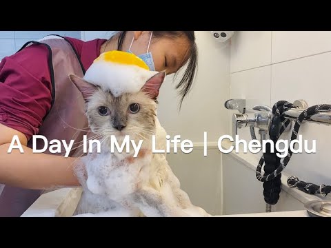 A Day in My Life｜Chengdu,China. Long time no see 😜