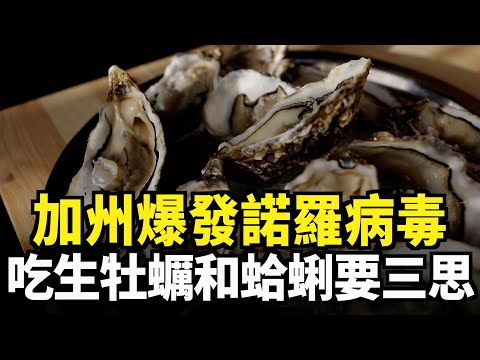 加州爆發諾羅病毒 吃生牡蠣和蛤蜊要三思｜今日加州