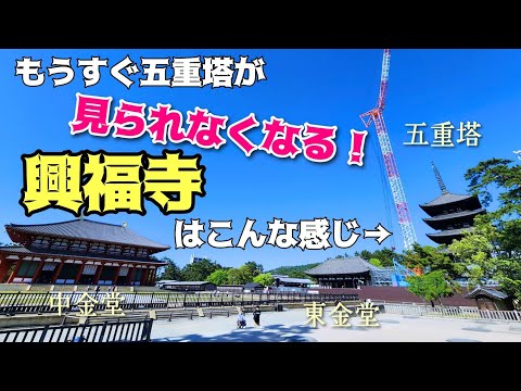 【奈良・興福寺】五重塔が工事中の興福寺ってどんな感じ？