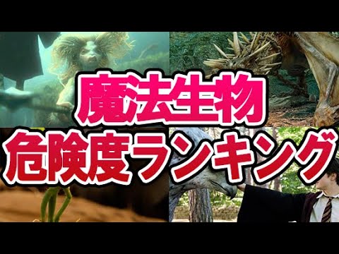 【ハリーポッター】危険な魔法生物たちを5段階でランキング！魔法界の弱すぎる・ヤバすぎるモンスターを一挙解説！ファンタビでも登場なるか？