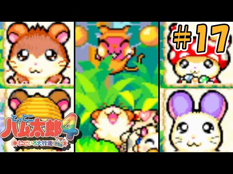 【とっとこハム太郎4】新キャラ続々登場！空の国へ招待せよ！！#17