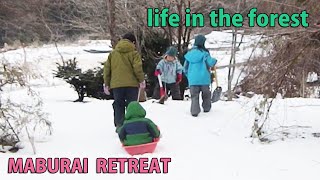 Self-Sufficiency, Forest Life, Rural Japan, Harvesting and preserving winter vegetables Tree Felling