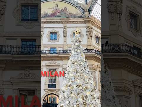 2024🇮🇹米兰圣诞节前的市中心🎄🎄