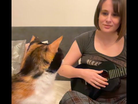 Ukulele cover of The Middle by Jimmy Eat World