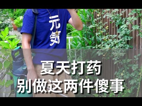 夏天打药千万不能做的两件事