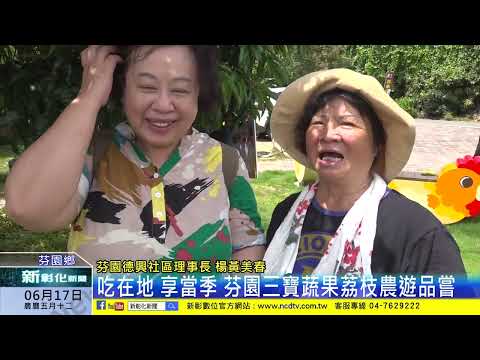 新彰化新聞20240617 吃在地 享當季 芬園三寶蔬果荔枝農遊品嘗