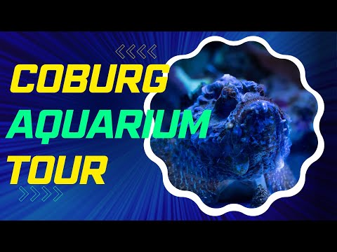 LFS Tour - Coburg Aquarium