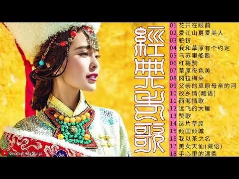 【中國藏歌】【经典老歌】西藏民歌 | Tibetan Chinese Songs：花开在眼前／爱江山更爱美人／驼铃／我和草原有个约定／乌苏里船歌／红梅赞 ️