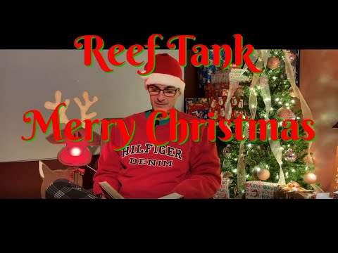 The Night Before Christmas - A Reef Tank Aquarium Owners Version (Our Gift To You) Christmas 2021