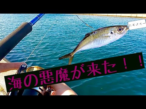 【泳がせ釣り】まさかの結末…