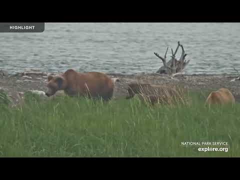 Kat's River View - Katmai National park | Highlights 2023