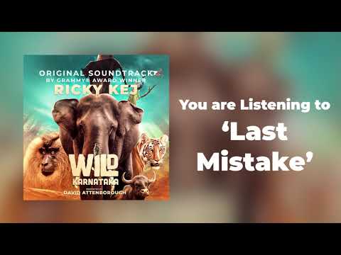 19 Wild Karnataka - Last Mistake - Original Soundtrack by Ricky Kej