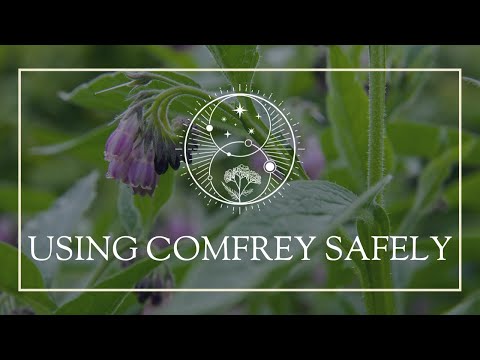 Using Comfrey Safely