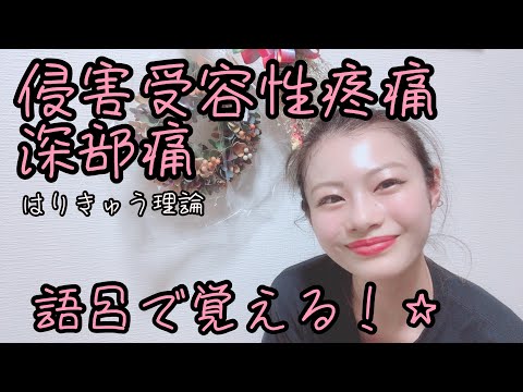 【はりきゅう理論】侵害受容性疼痛の深部痛の覚え方！【Biancaなざと】