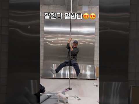 아빠의 폴댄스🫰🏻 #폴타혼타스 #낭만성일 구독❤️ 울아빠는 마지못해 해야 제 맛😆