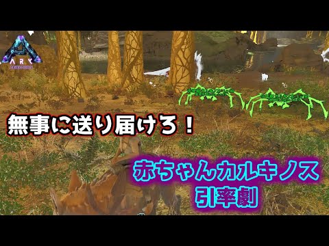 【MOD有】カルキノスの赤ちゃんを保護せよ！赤ちゃん地獄の地下引率【ARK: Survival Ascended】