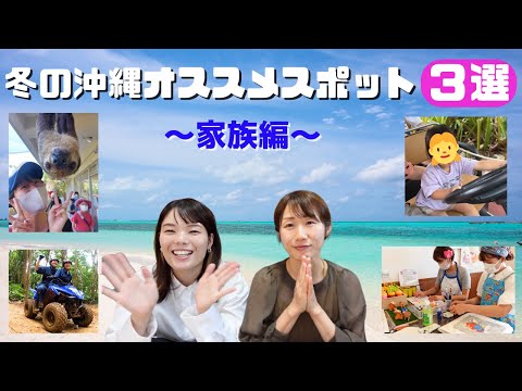 【沖縄観光】海だけじゃない！冬の沖縄観光スポット３選！