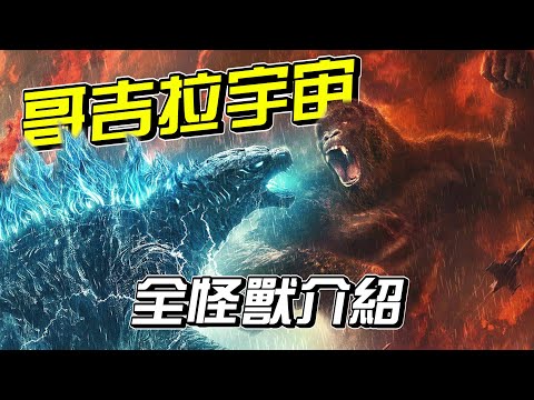 【哥吉拉怪獸宇宙】解析 | 全怪獸介紹+分析