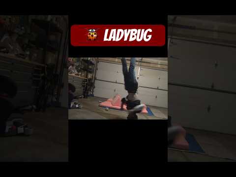 #shorts #ladybug #dance #garagegym