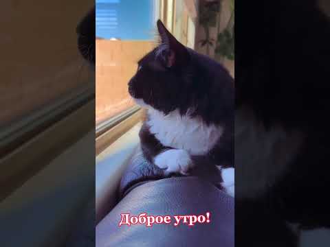 Доброе утро!