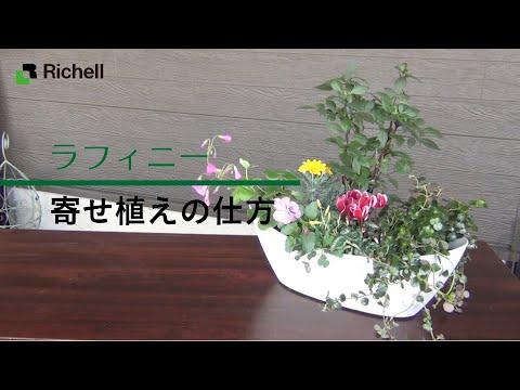 【生産終了】ラフィニー｜寄せ植えの仕方【リッチェル公式 園芸用品】