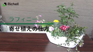 【生産終了】ラフィニー｜寄せ植えの仕方【リッチェル公式 園芸用品】