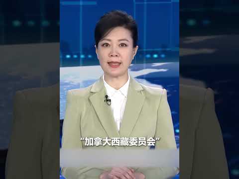 中国外交部：中方决定对加拿大2家机构及20名机构人员采取反制措施。